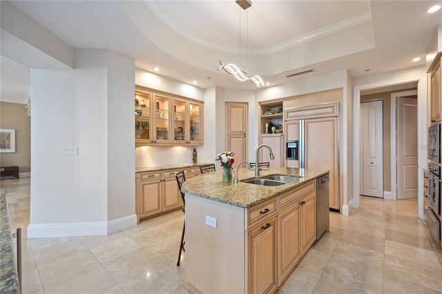 kitchen featuring a raised ceiling, sink, a center island with sink, and light stone countertops