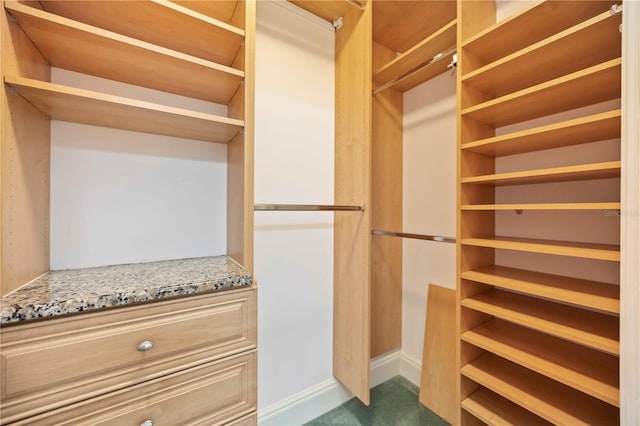 50 Central Ave Unit 17Phb, Sarasota, FL 34236 - spacious closet featuring carpet