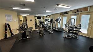 workout area featuring plenty of natural light and baseboards