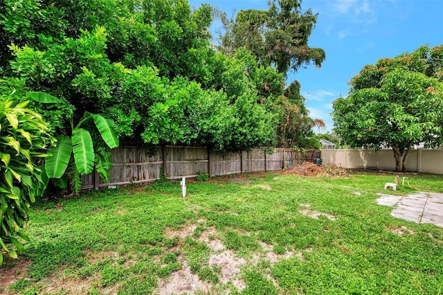 2900 Siesta Dr, Venice, FL 34293 - view of yard with a fenced backyard