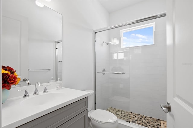 bathroom featuring toilet, a shower stall, and vanity