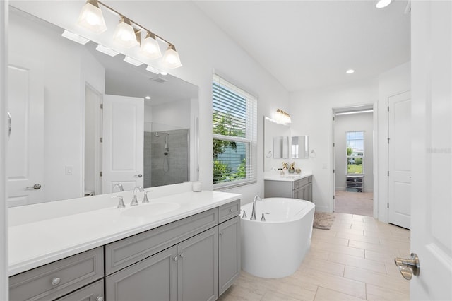 bathroom featuring a freestanding tub, a stall shower, a sink, and a wealth of natural light