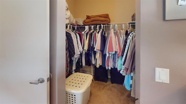 walk in closet featuring carpet flooring