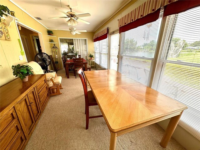 dining area with ceiling fan, plenty of natural light, and light colored carpet