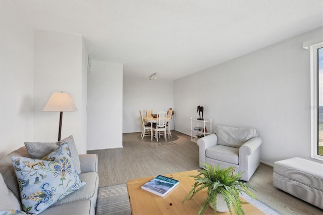 living room with hardwood / wood-style flooring and plenty of natural light