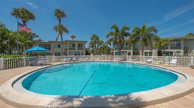 view of pool featuring a patio