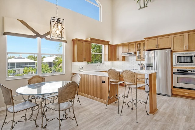 kitchen with a wealth of natural light, stainless steel appliances, light hardwood / wood-style flooring, and tasteful backsplash