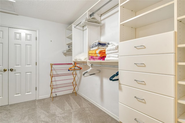 walk in closet with light carpet