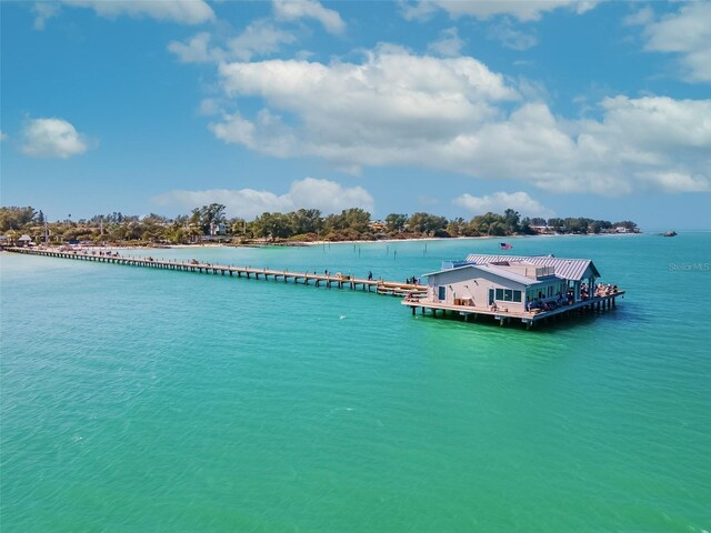 view of water feature with a dock