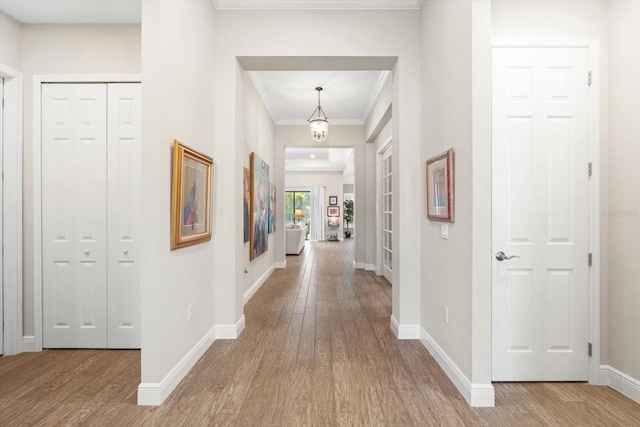 hall with light wood-type flooring and ornamental molding