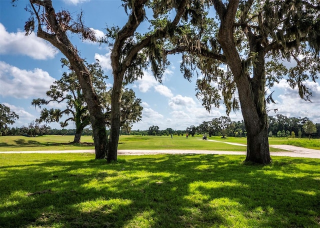 view of property's community with a yard