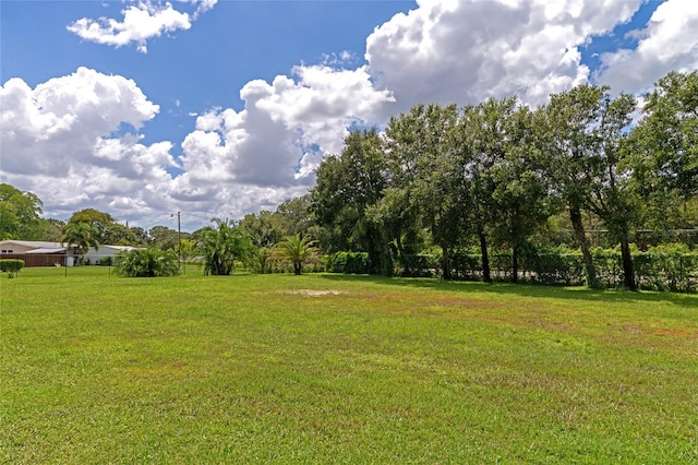 view of yard