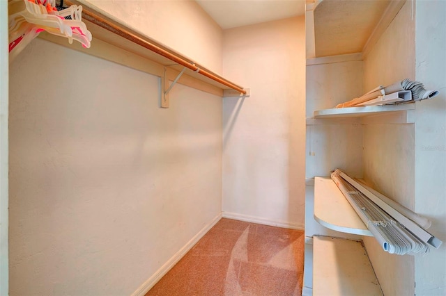 spacious closet with light carpet