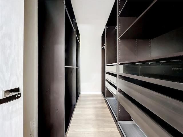 walk in closet featuring light wood-type flooring