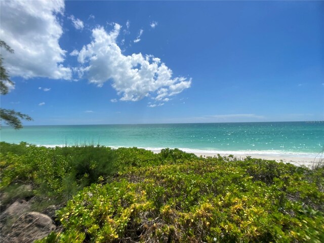 property view of water featuring a beach view