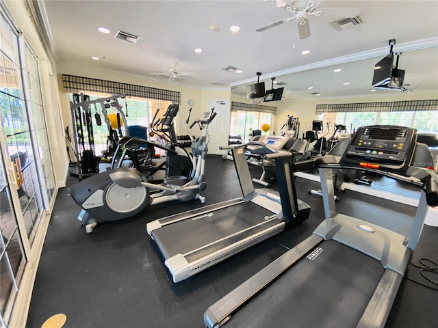 workout area with a wealth of natural light, crown molding, and ceiling fan