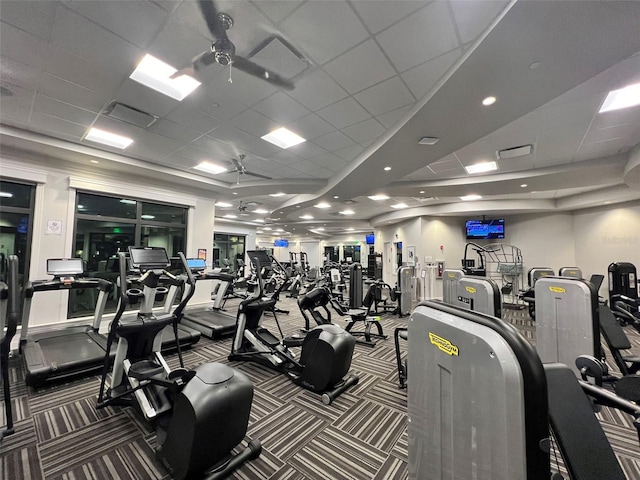 gym with a tray ceiling, ceiling fan, a paneled ceiling, and carpet floors