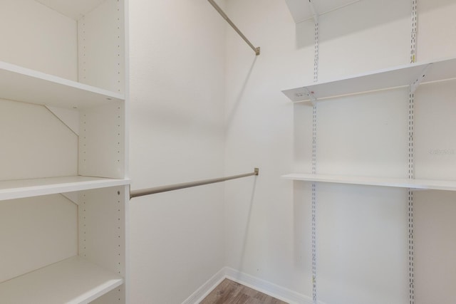 walk in closet with hardwood / wood-style flooring