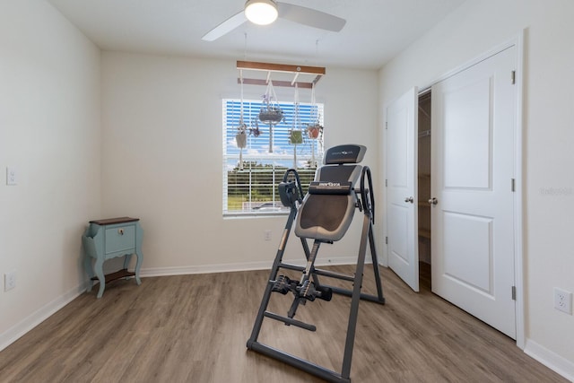 exercise room featuring ceiling fan and hardwood / wood-style floors