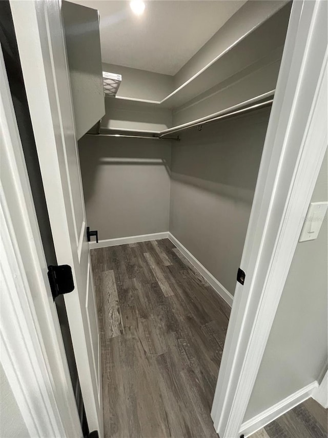 walk in closet with dark hardwood / wood-style floors