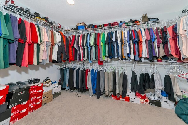 spacious closet featuring carpet flooring