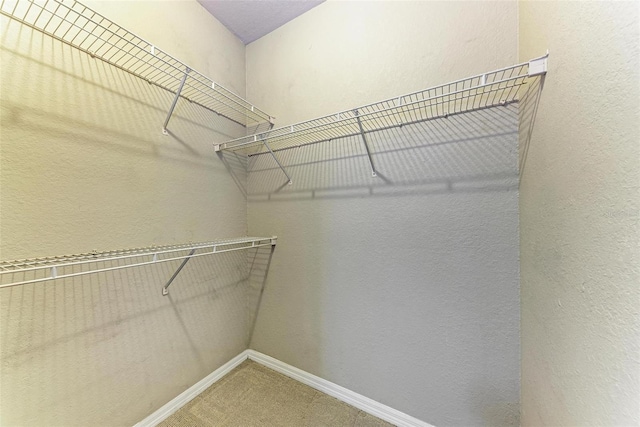 walk in closet featuring carpet flooring