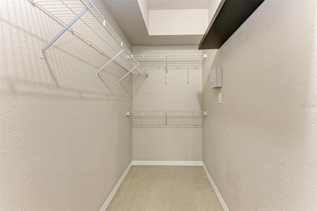 spacious closet featuring carpet flooring