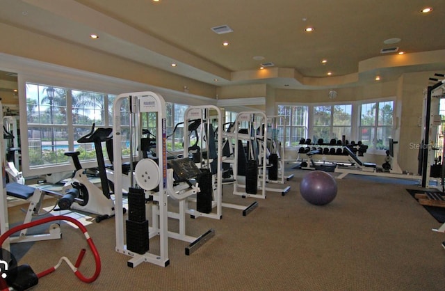 exercise room with carpet