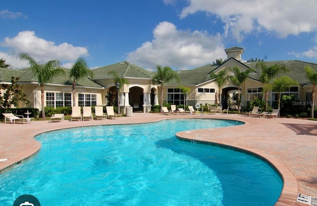 view of pool featuring a patio