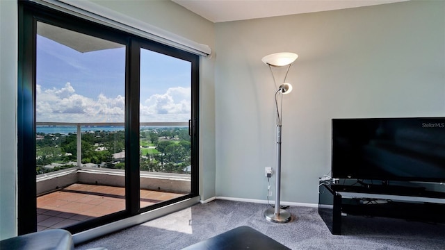 living room featuring baseboards and carpet flooring