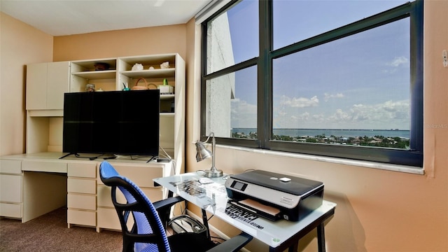 office area with carpet floors and built in desk