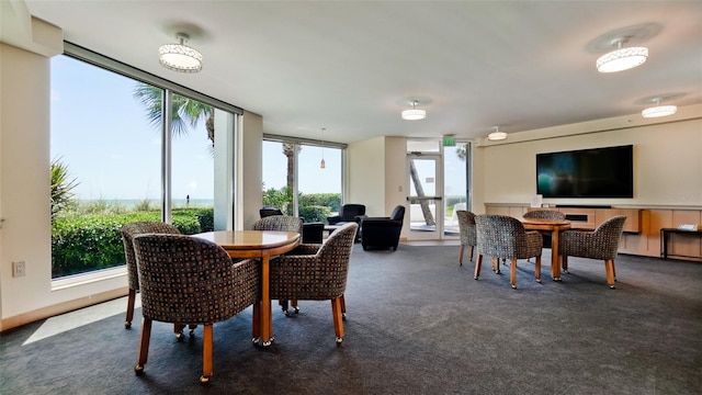 dining space with a wall of windows, plenty of natural light, and carpet floors