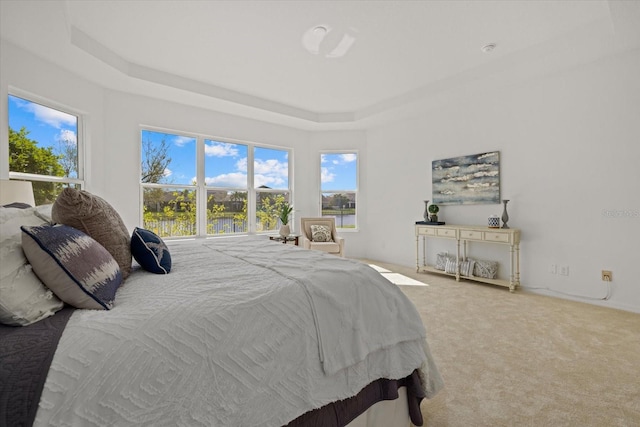 carpeted bedroom with a tray ceiling