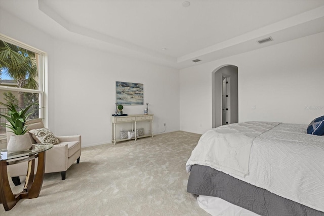 bedroom featuring a tray ceiling and light carpet