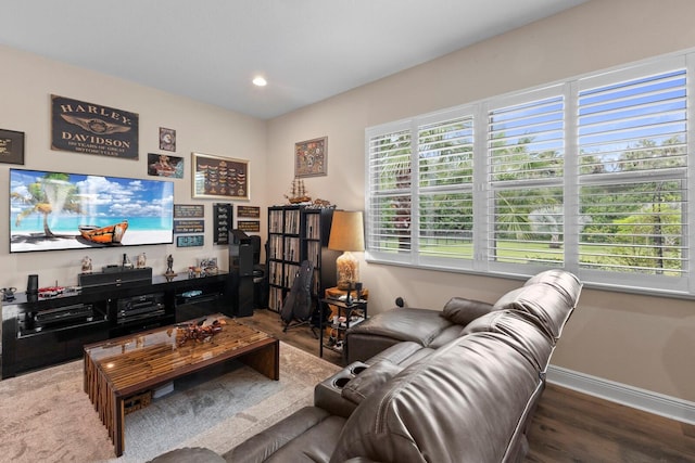 living room with wood-type flooring