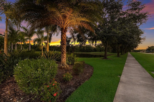 view of property's community featuring a water view and a yard