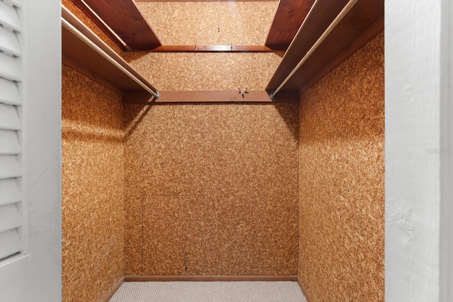 walk in closet with carpet flooring