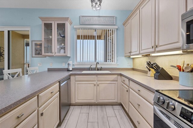 kitchen with appliances with stainless steel finishes, sink, and decorative backsplash