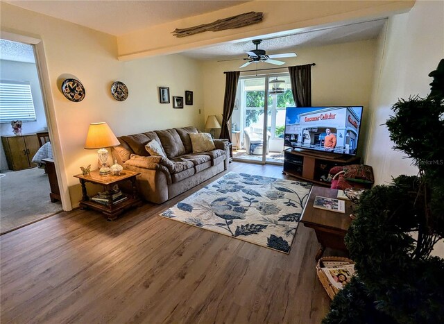 living area featuring a ceiling fan and wood finished floors