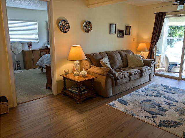 living area featuring a ceiling fan and wood finished floors