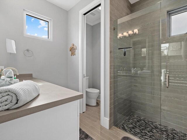 bathroom featuring toilet, a stall shower, vanity, and wood finish floors