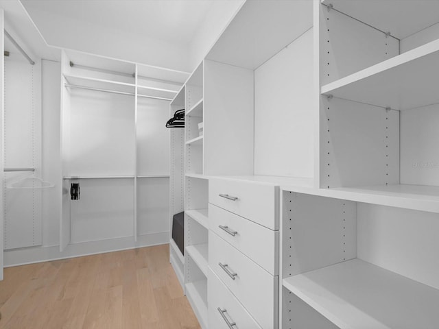 spacious closet featuring light wood finished floors