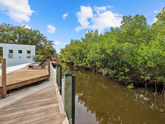 dock area with a water view