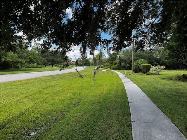 view of property's community featuring a lawn