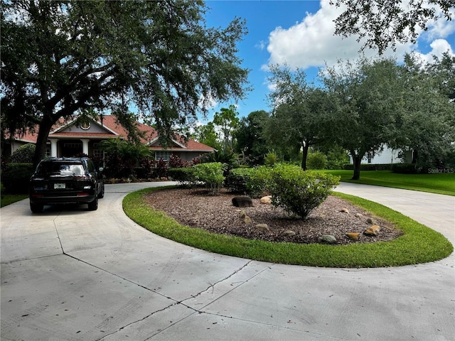 view of community featuring driveway