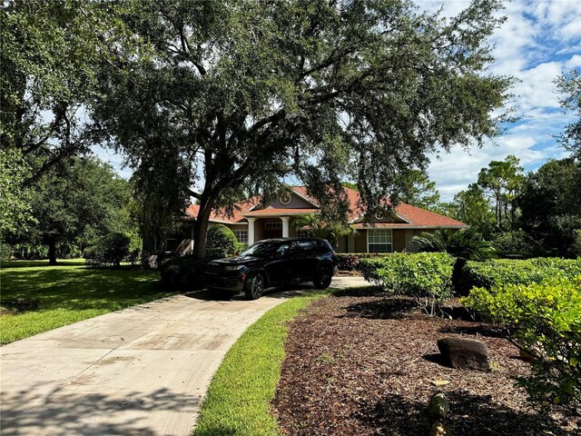 view of front of house featuring driveway and a front lawn