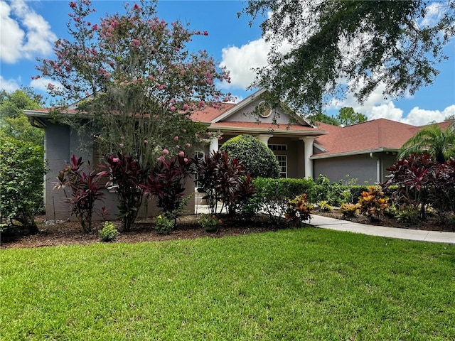 view of front of property with stucco siding and a front yard