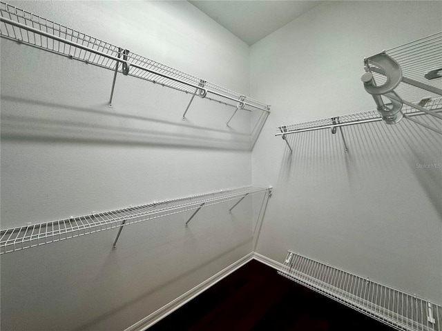 spacious closet featuring hardwood / wood-style flooring