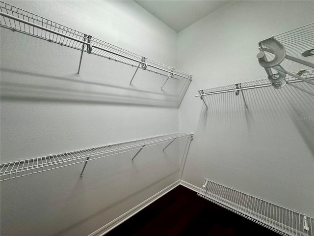 view of walk in closet