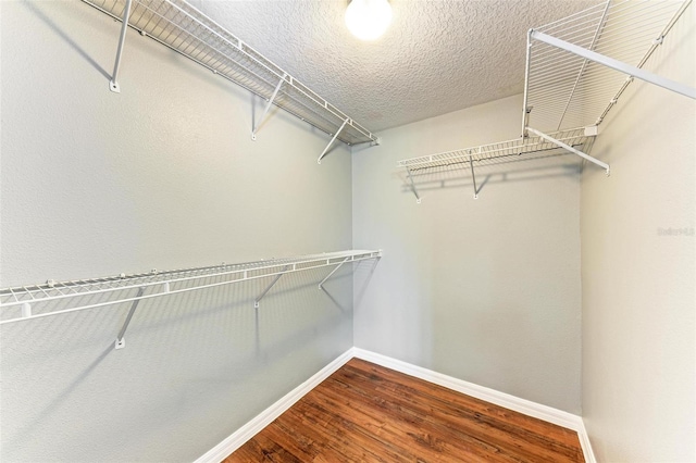 spacious closet with wood-type flooring